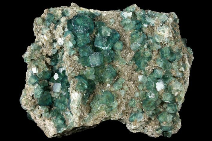 Large, Wide Plate of Green Fluorite Crystals on Quartz - China #128813